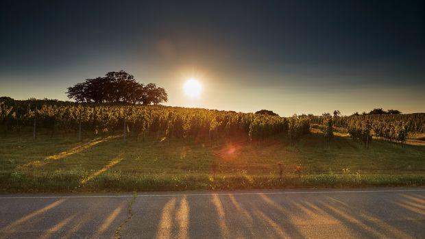 Château Mercian Mariko Winery - Image 1